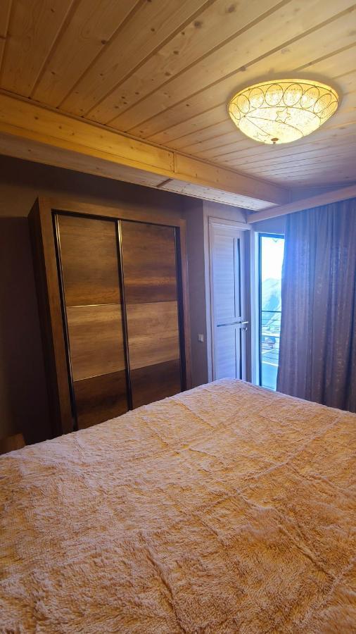 Gudauri Winter House Διαμέρισμα Εξωτερικό φωτογραφία